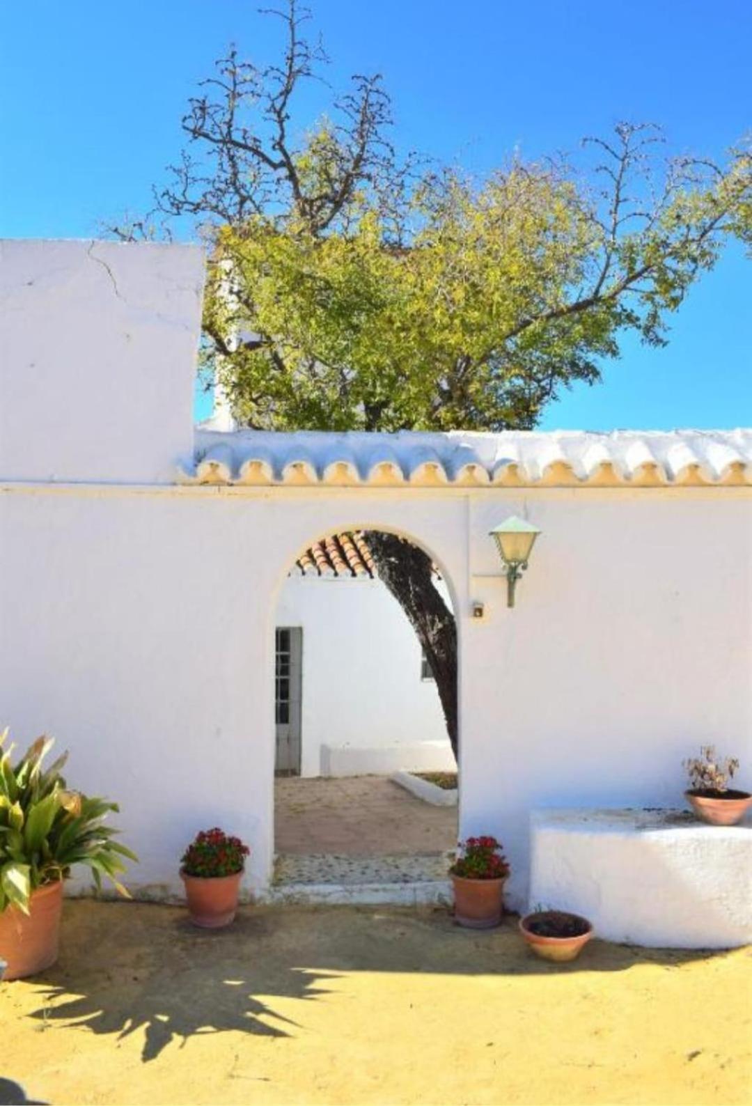 Georgesville * Marbella